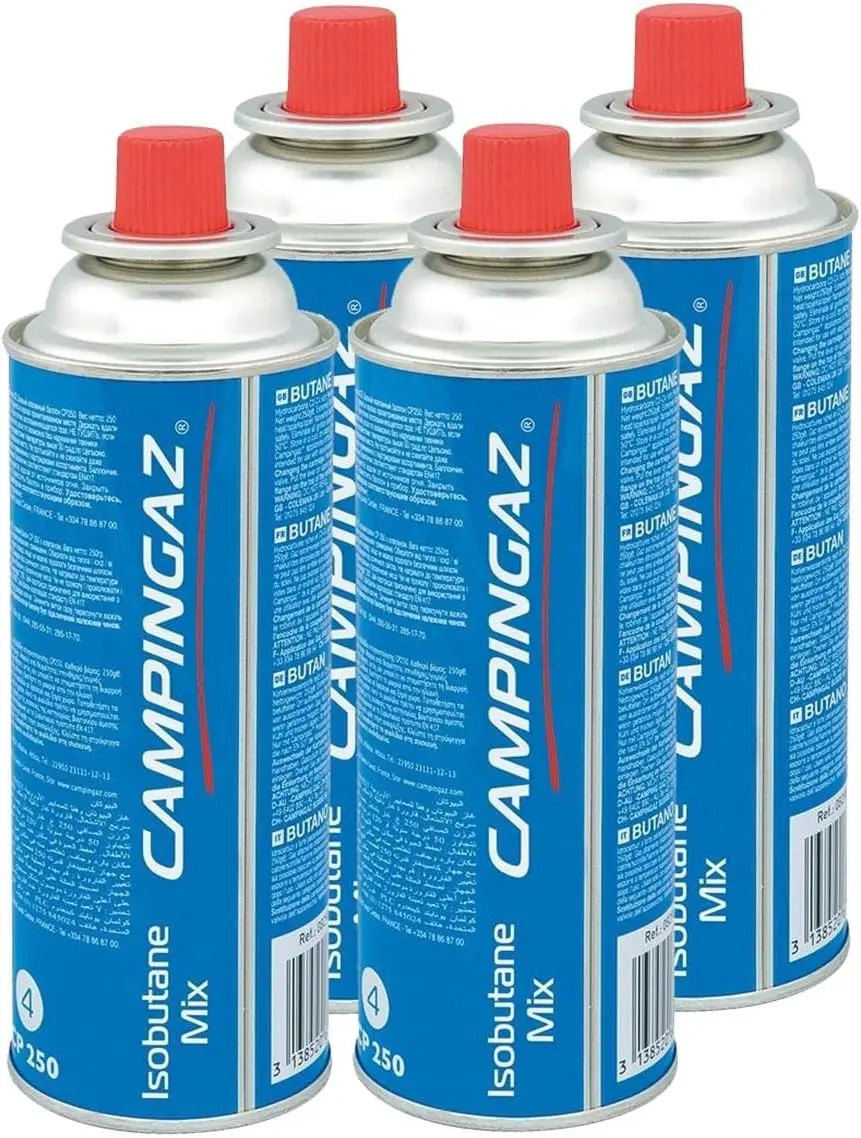 Cartuchos de gas Campingaz CP250 - campinggastop.com